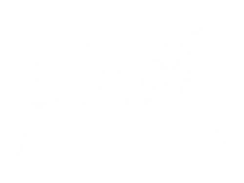 DVL Studios